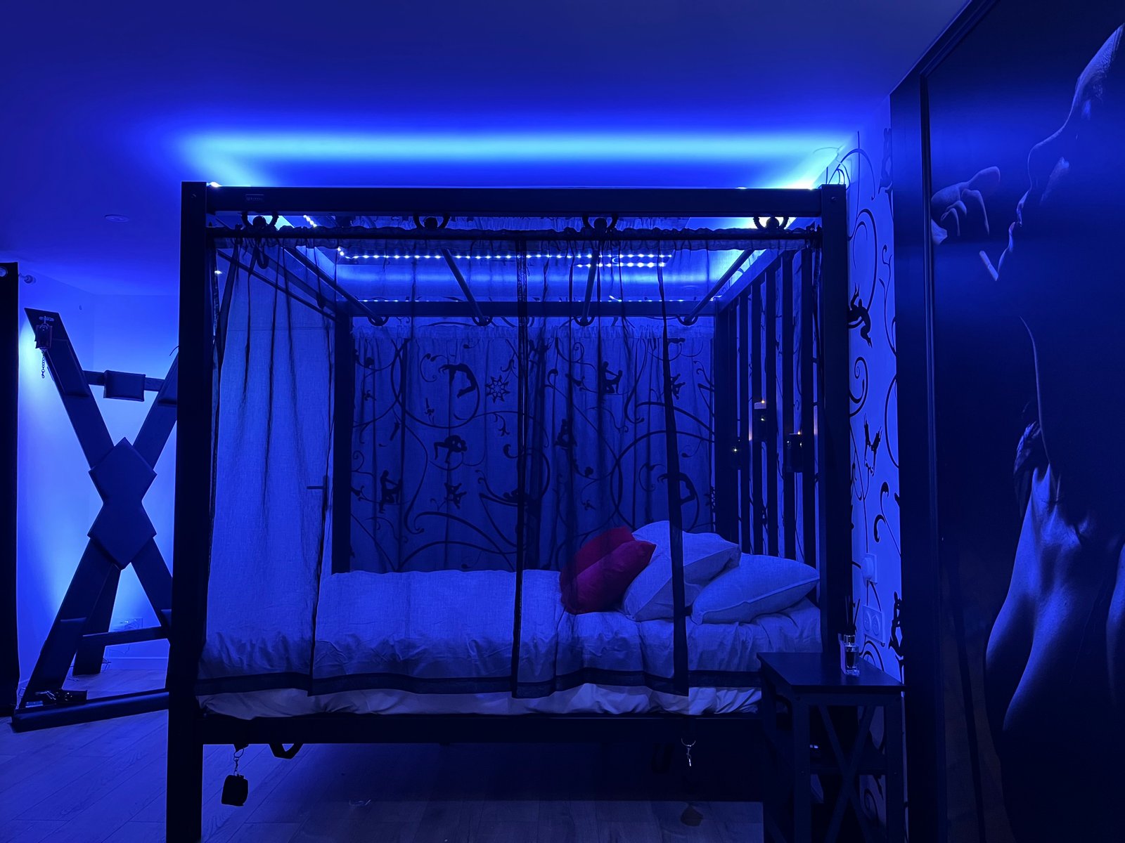 Lit BDSM